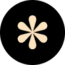 Designer Daily Report